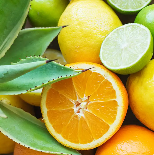 Margarita (citrus agave)